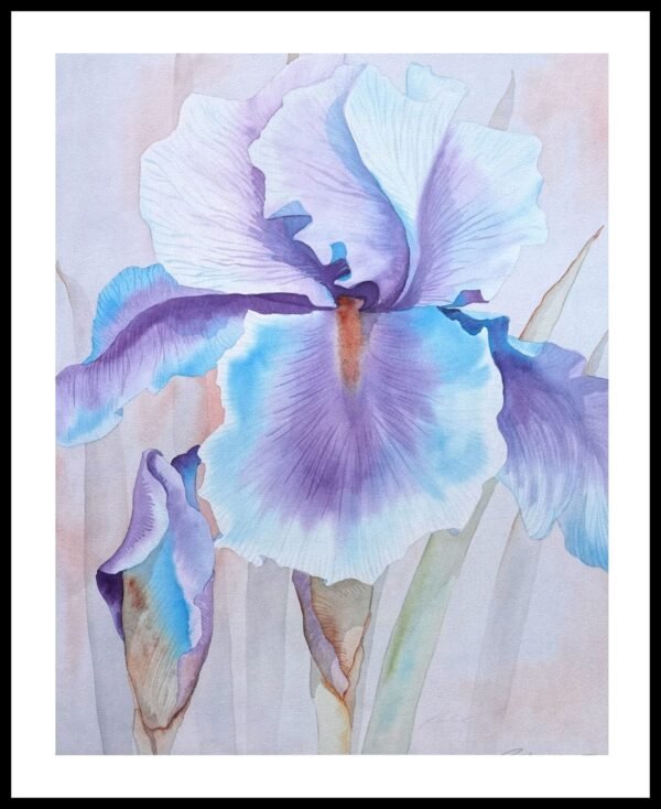 AIM 840 Blue Iris II (S/N LIMITED EDITION)